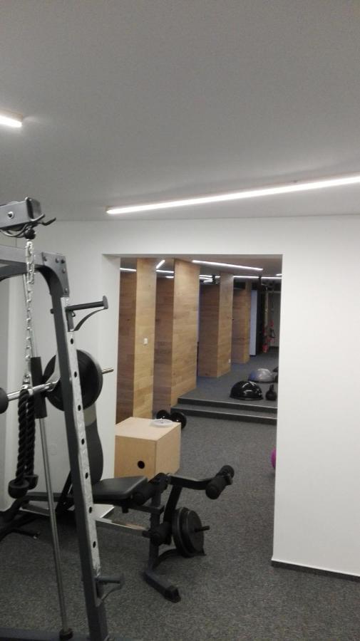 Apartments U Zelmanu Pasohlávky Kültér fotó